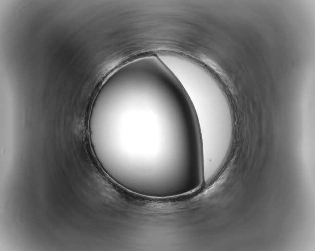 X0000087060977200704180933