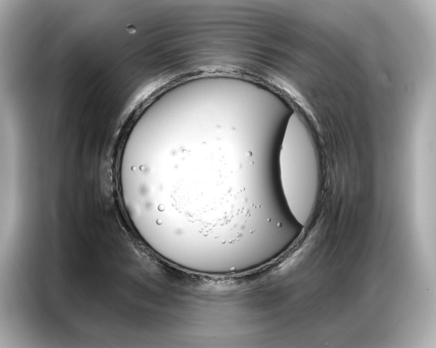 X0000087060978200704180933