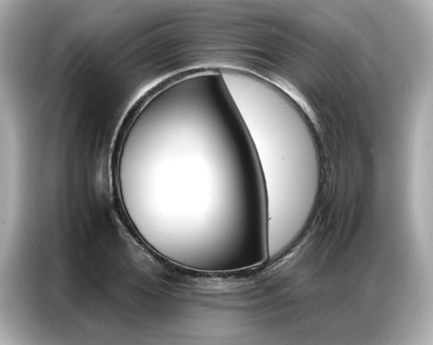 X0000087060980200704180933