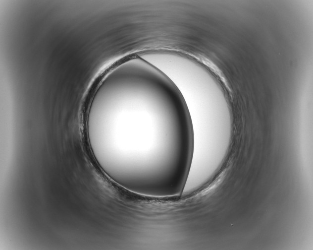 X0000087060981200704180933