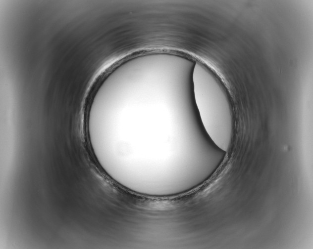 X0000087060982200704180933