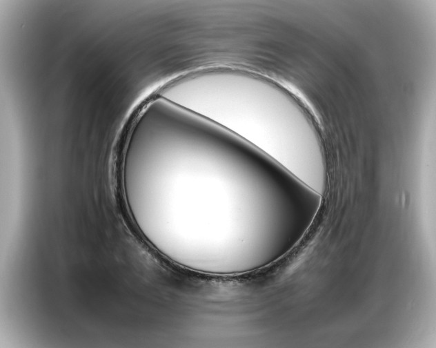 X0000087060983200704180933