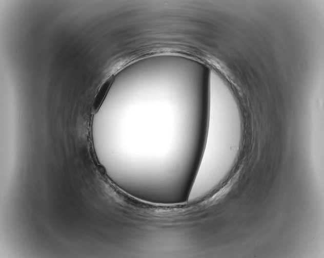 X0000087060985200704180933