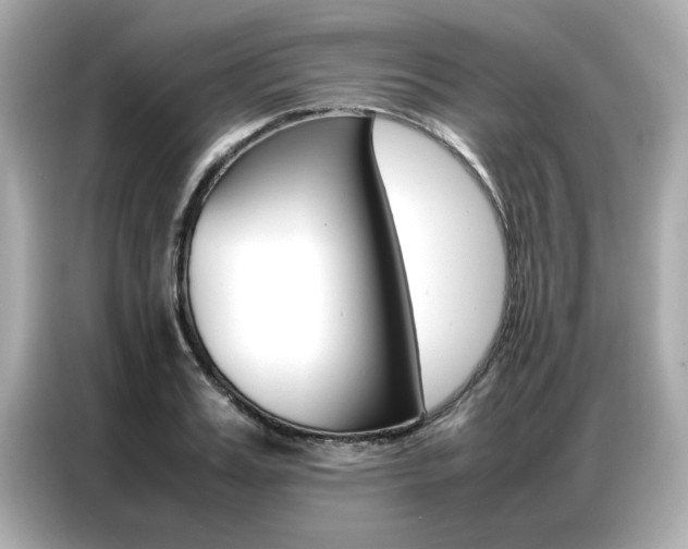 X0000087060987200704180933