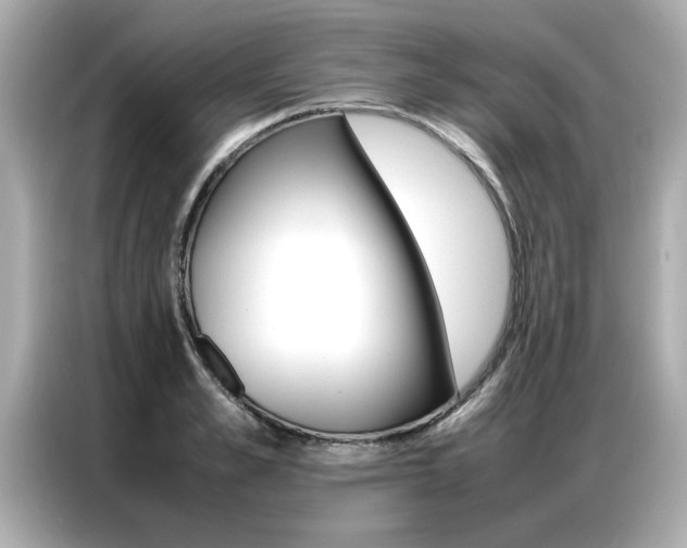 X0000087060989200704180933