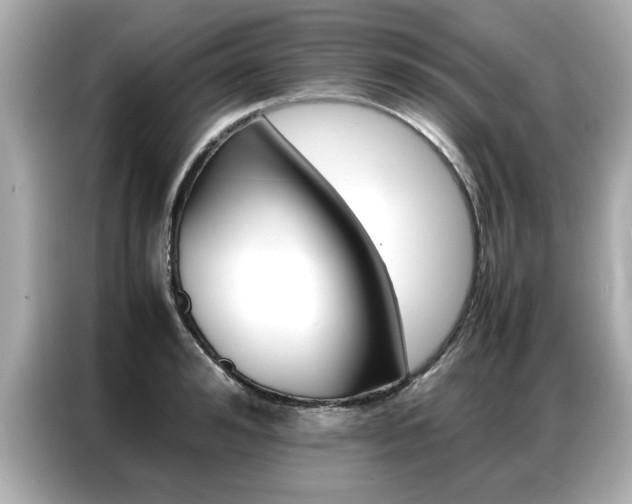 X0000087060992200704180933