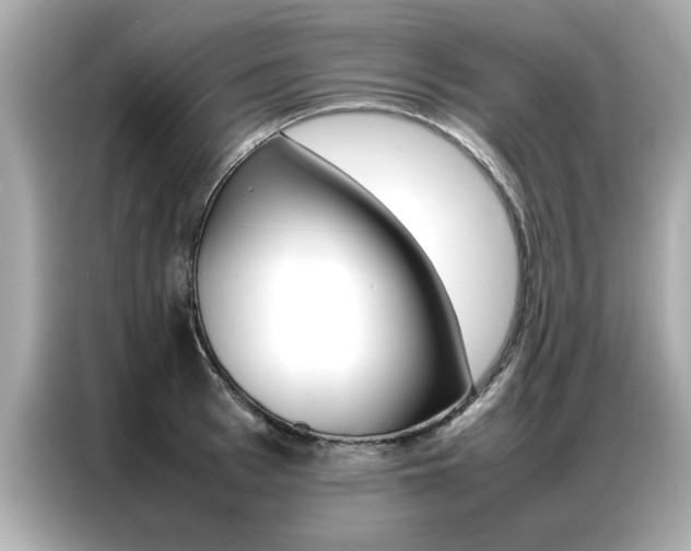 X0000087060993200704180933