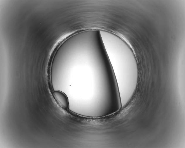 X0000087060995200704180933