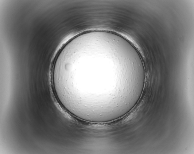X0000087060998200704180933