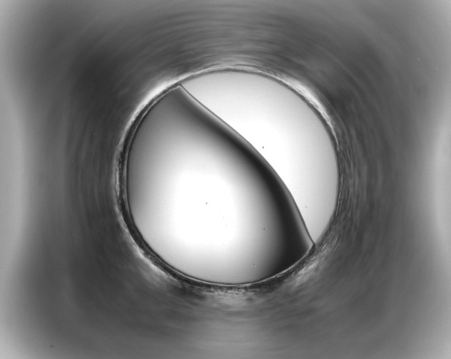 X0000087060999200704180933