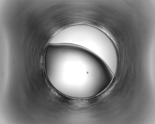 X0000087061001200704180933