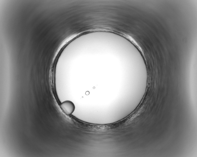 X0000087061003200704180933