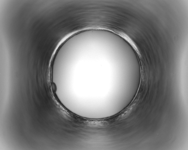 X0000087061004200704180933