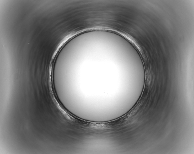 X0000087061006200704180933