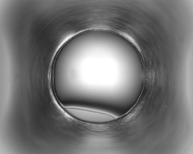 X0000087061007200704180933