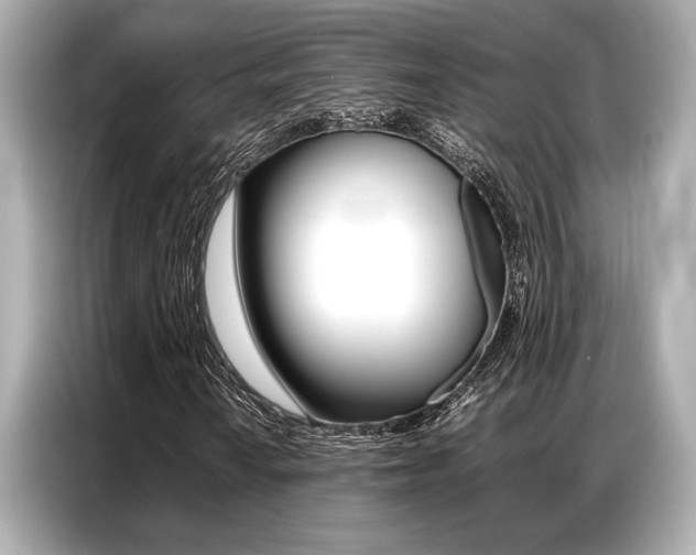 X0000087061010200704180932