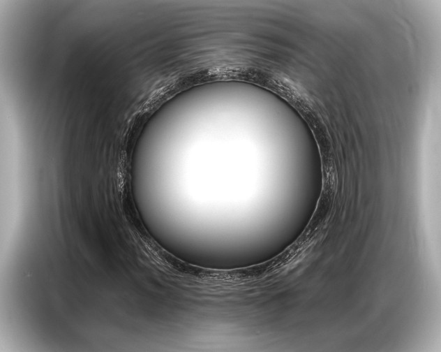 X0000087061012200704180932