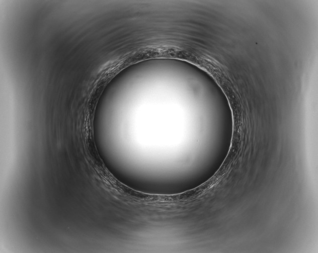 X0000087061014200704180932