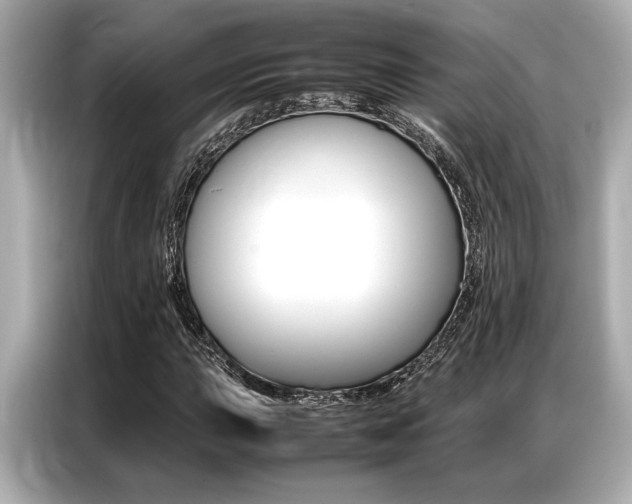 X0000087061015200704180932
