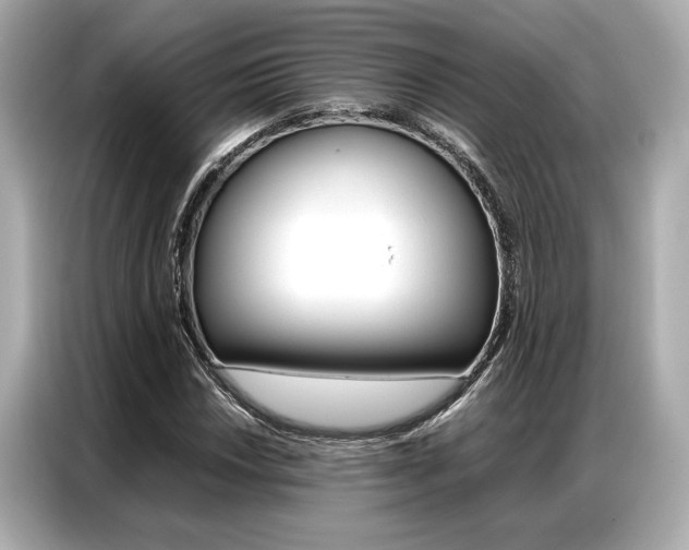 X0000087061018200704180932
