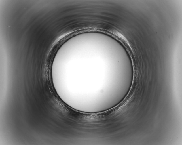X0000087061019200704180932