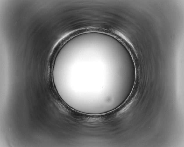 X0000087061021200704180932