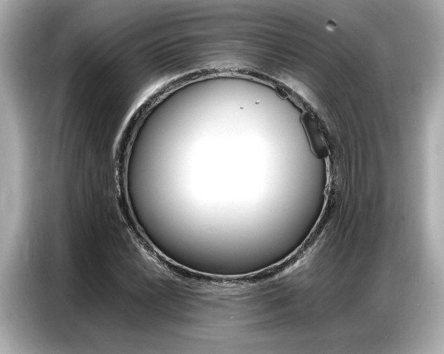X0000087061022200704180932
