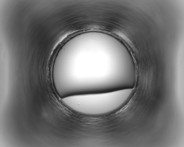 X0000087061023200704180932