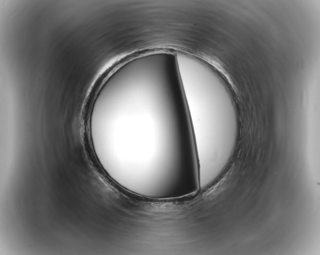 X0000087061024200704180932