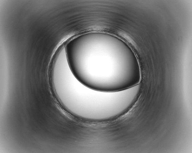 X0000087061026200704180932