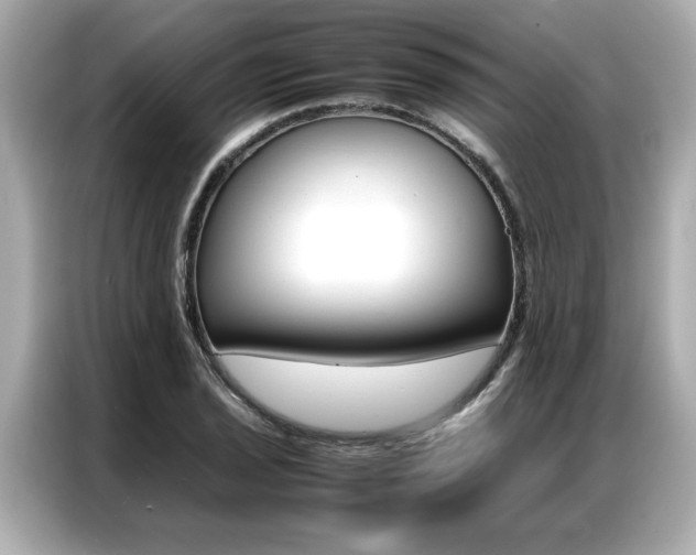 X0000087061029200704180933