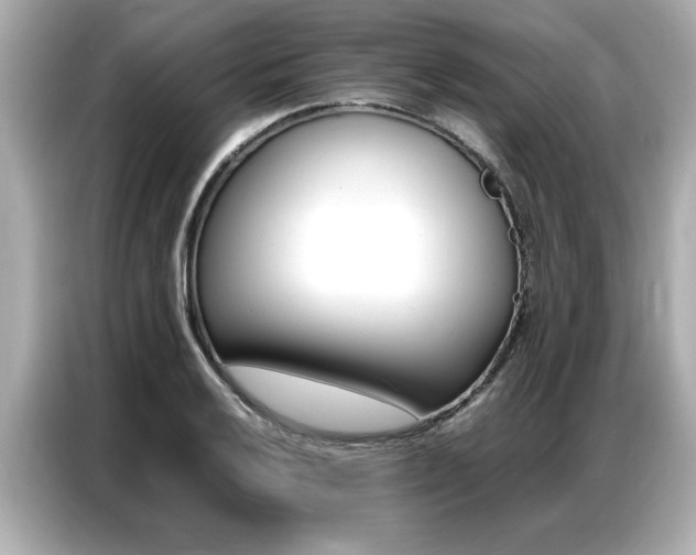 X0000087061032200704180933