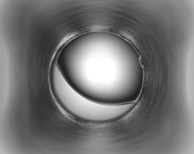 X0000087061034200704180933