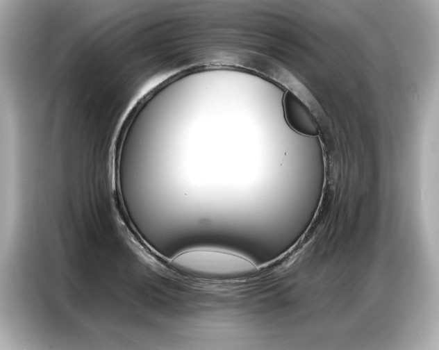 X0000087061036200704180933