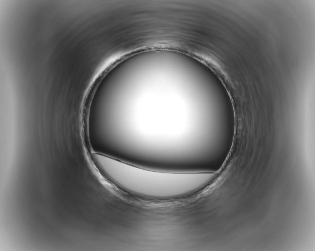 X0000087061038200704180933