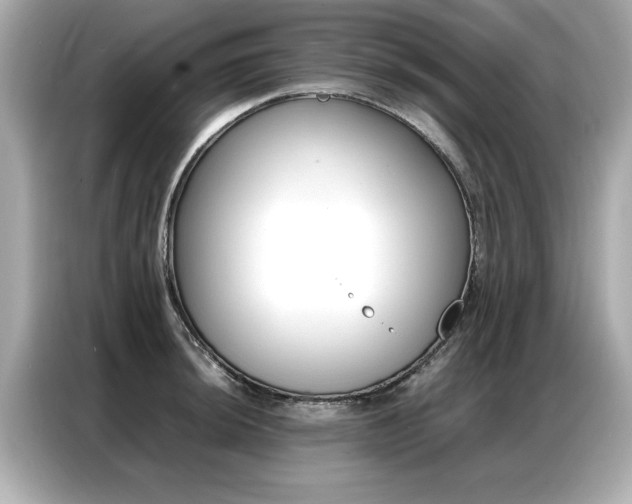 X0000087061044200704180933
