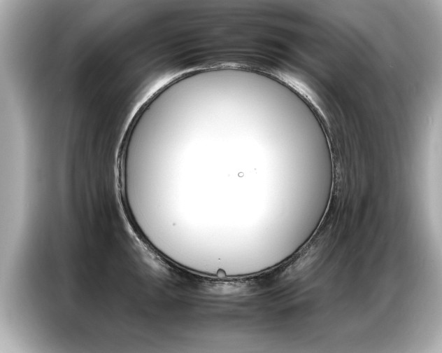 X0000087061047200704180933