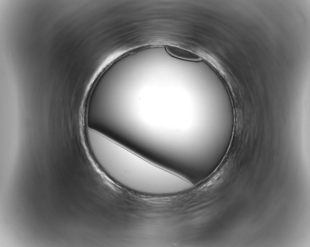 X0000087061048200704180933