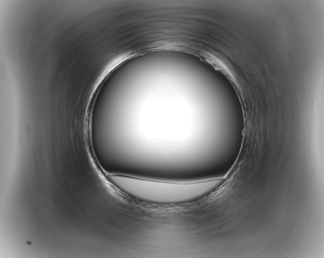 X0000087061050200704180933