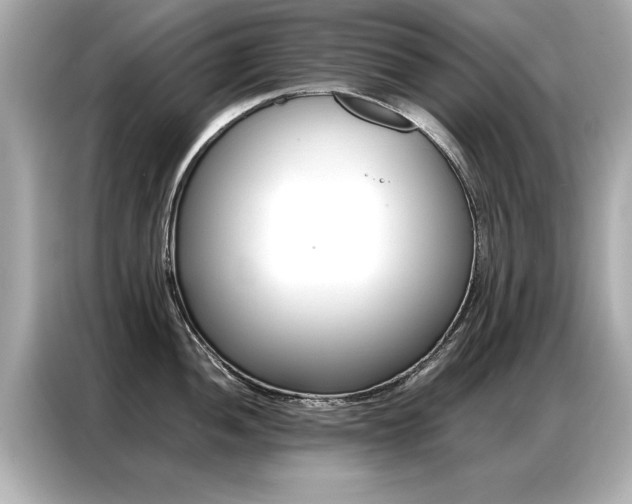 X0000087061052200704180933