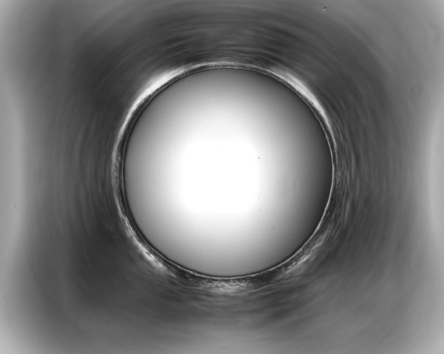 X0000087061053200704180933