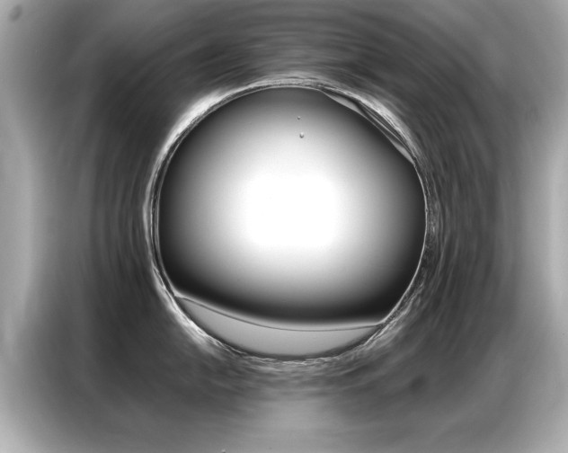 X0000087061054200704180933