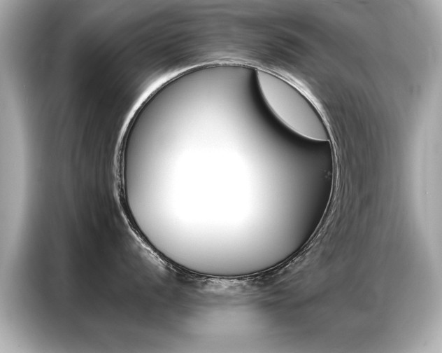 X0000087061056200704180933