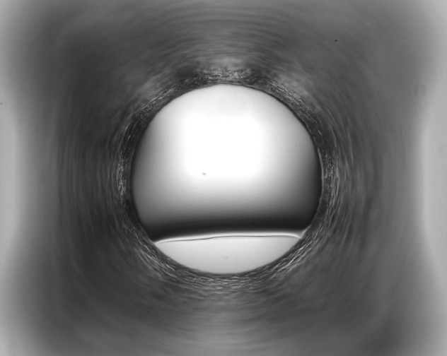 X0000087061058200704180932