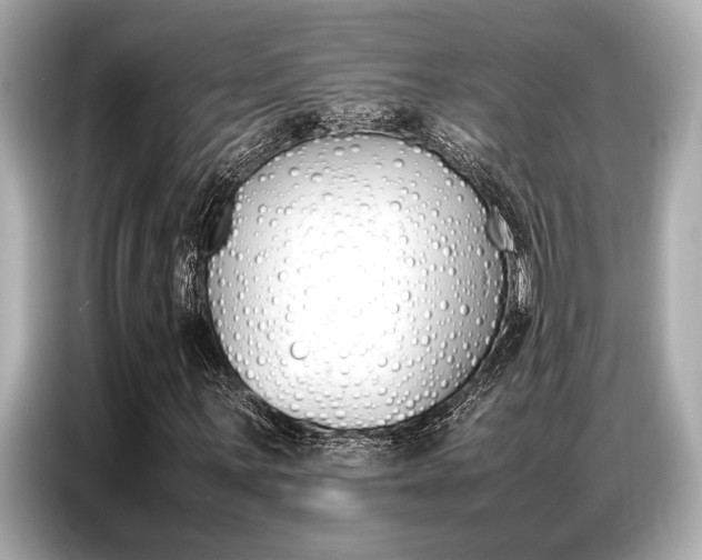 X0000087061059200704180932