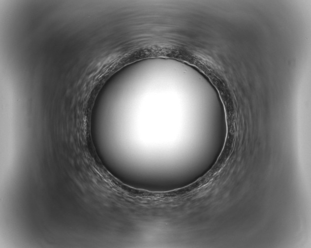 X0000087061061200704180932