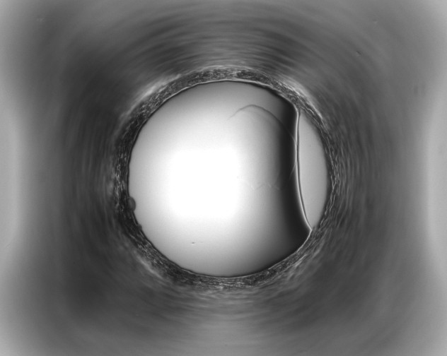 X0000087061064200704180932