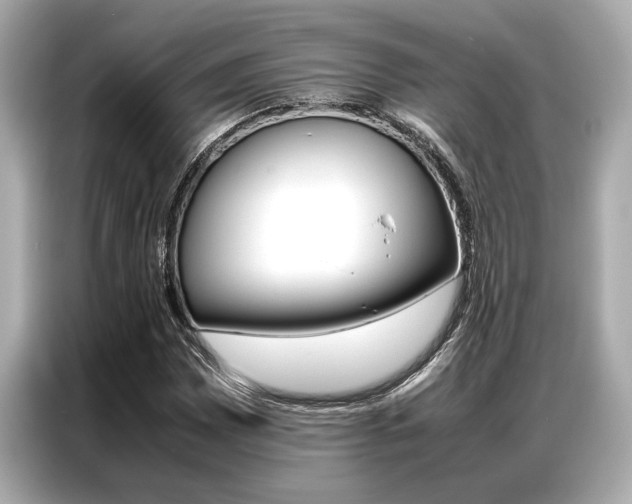 X0000087061065200704180932