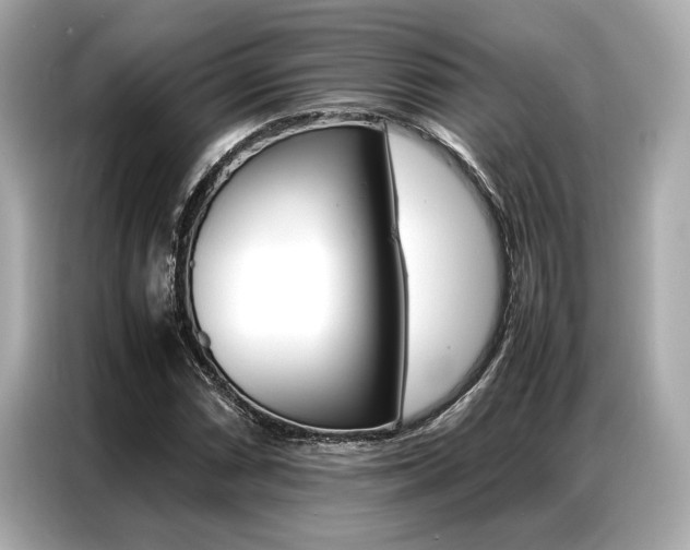X0000087061066200704180932