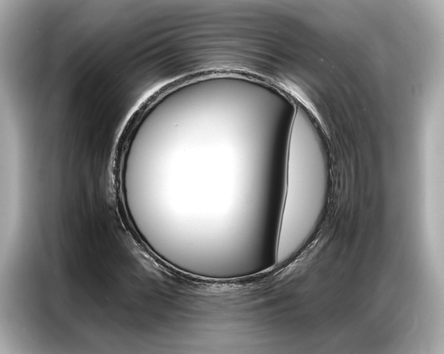 X0000087061068200704180932